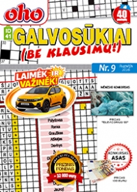 ID 41 oho Galvosūkiai be klausimų
